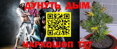 бошки Краснознаменск