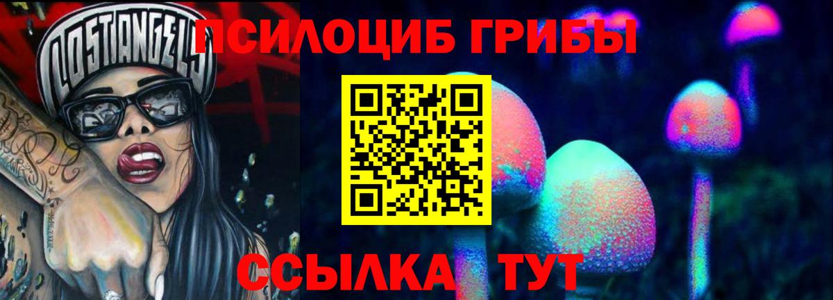 Каменка  Псилоцибиновые грибы Psilocybe  Вход с VPN 